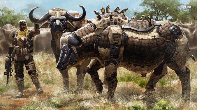 养龟玩龟的人可怕吗？